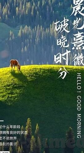麻豆av巨作-麻豆AV巨作，时代背后的艺术与市场尝试