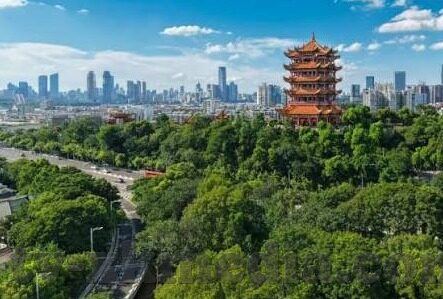 麻豆传媒 app下载-探索内容选择与网络安全的必要性