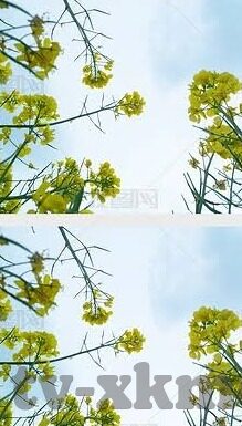 尤物麻豆Av在线-尤物麻豆AV，跨界美学与网络文化的交融展